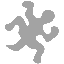 Go to ZOMDir's homepage Abstract view of a salamander
